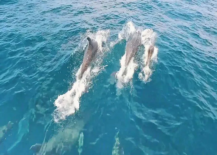 Villa Villa In Cerro De Aguia With Private Pool