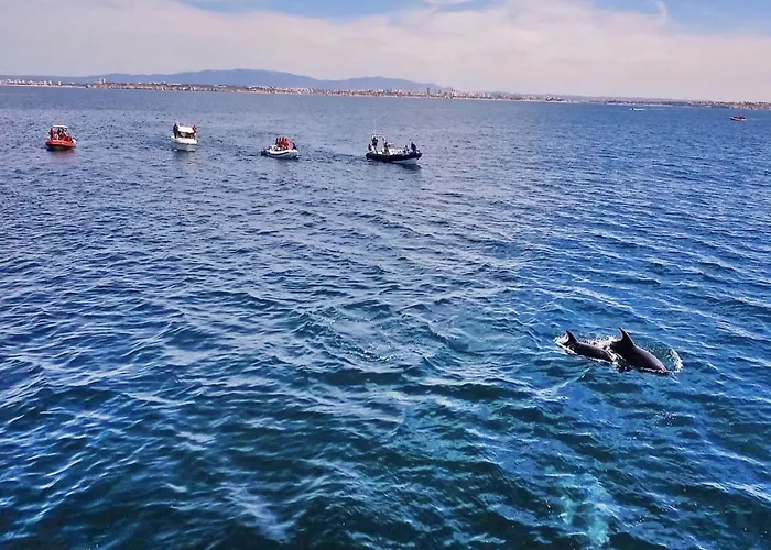 Villa In Cerro De Aguia With Private Pool Villa Albufeira